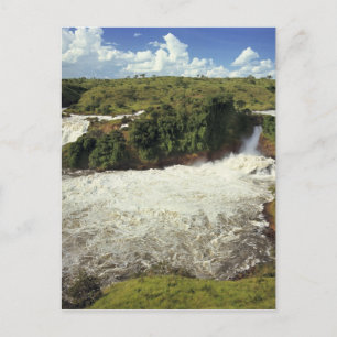 Afrika, Uganda, Murchison Falls NP. Den frodiga Vykort