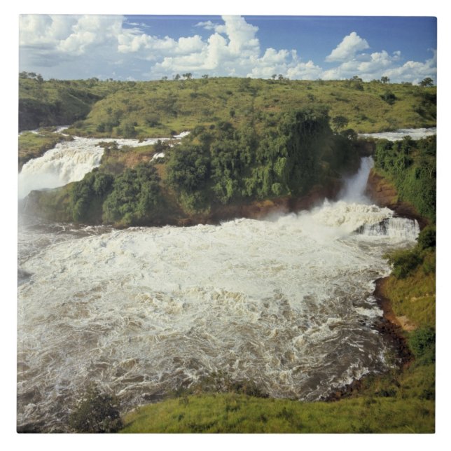 Afrika, Uganda, Murchison Falls NP. Den skummande Kakelplatta (Framsidan)