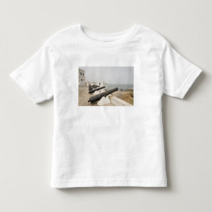 Afrika, Västafrika, Ghana, Elmina. Kanoner vaktar Tee