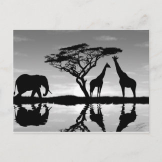 Afrika Vykort