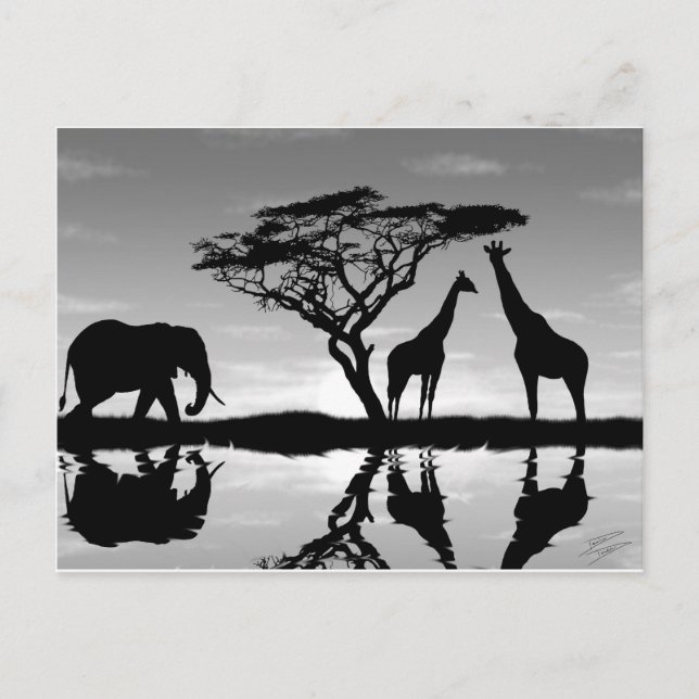 Afrika Vykort (Framsida)