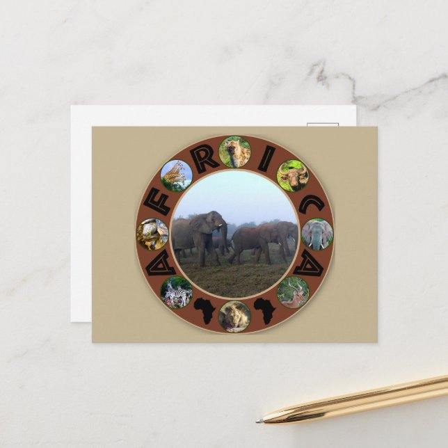 Afrika Wildlife Circle Elephant Herd Mist Vykort (Fram/Back In Situ)