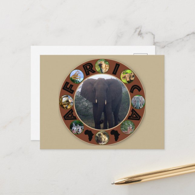Afrika Wildlife Circle Elephant Mist Vykort (Fram/Back In Situ)