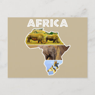 Afrika Wildlife Continent Collage Helgdag Postcard Helg Vykort