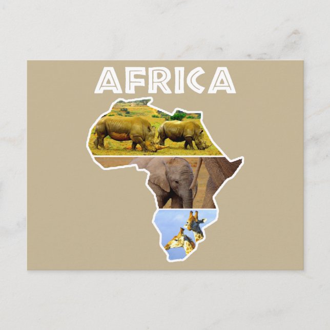 Afrika Wildlife Continent Collage Helgdag Postcard Helg Vykort (Framsida)