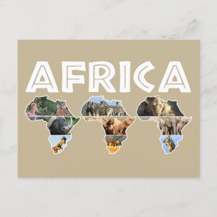 Afrika Wildlife Continent Trio Collage Helg Vykort