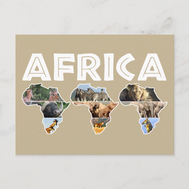 Afrika Wildlife Continent Trio Collage Helg Vykort (Framsida)