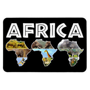 Afrika Wildlife Continent Trio Collage Magnet