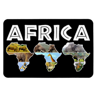 Afrika Wildlife Continent Trio Collage Magnet