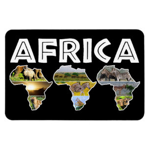 Afrika Wildlife Continent Trio Collage Magnet