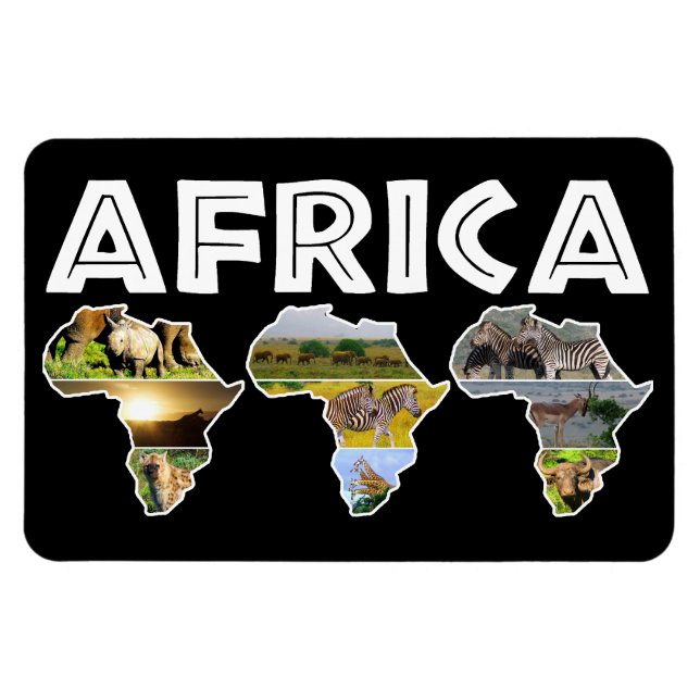 Afrika Wildlife Continent Trio Collage Magnet (Horisontell)