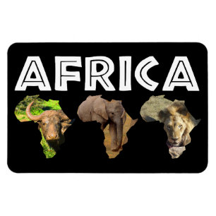 Afrika Wildlife Continent Trio Magnet