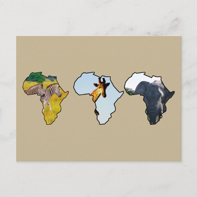 Afrika Wildlife Continent Trio Wildlife Photos Helg Vykort (Framsida)