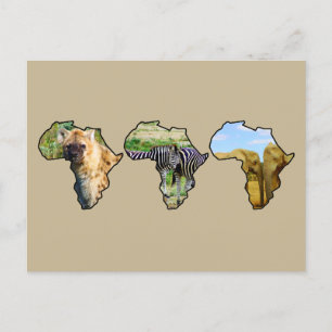 Afrika Wildlife Continent Trio Wildlife Photos Helg Vykort