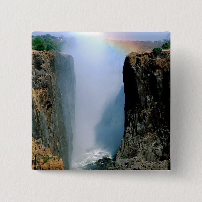 Afrika, Zambia, Victoriafallen nationalpark. Knapp (Framsida)