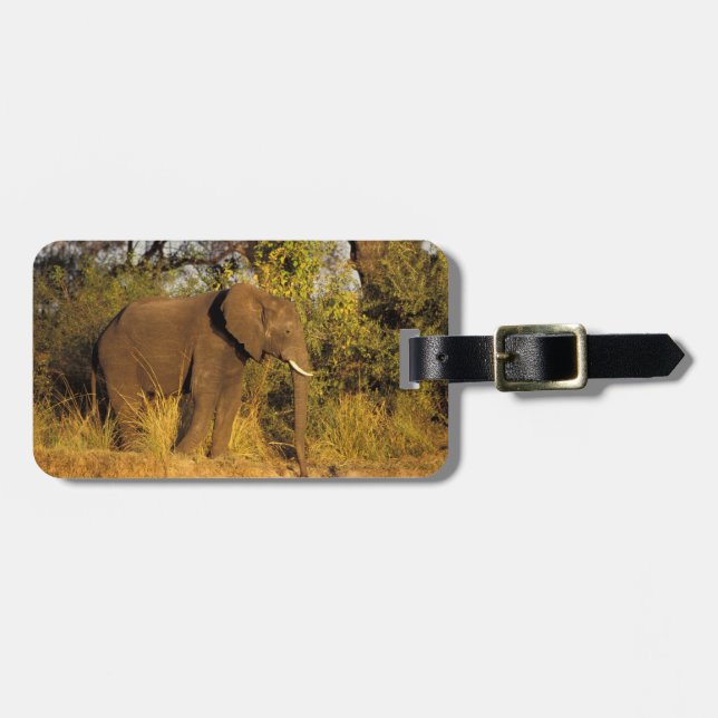 Afrika, Zimbabwe, Victoria Falls nationalpark. Bagagebricka (Horisontell Framsida)