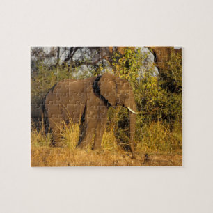 Afrika, Zimbabwe, Victoria Falls nationalpark. Pussel