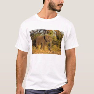 Afrika, Zimbabwe, Victoria Falls nationalpark. T Shirt