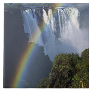 Afrika, Zimbabwe, Victoriafallen Kakelplatta