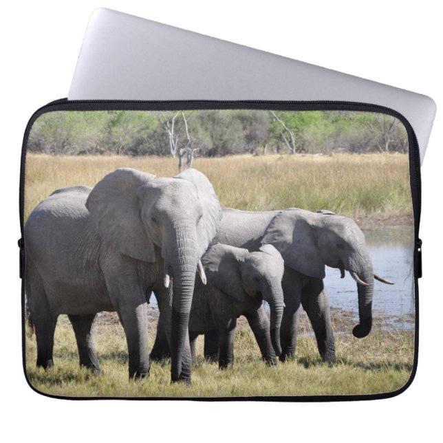 Afrikaelefantflockar Laptop Fodral (Framsidan)