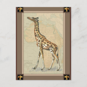 Afrikakarta och en giraff vykort