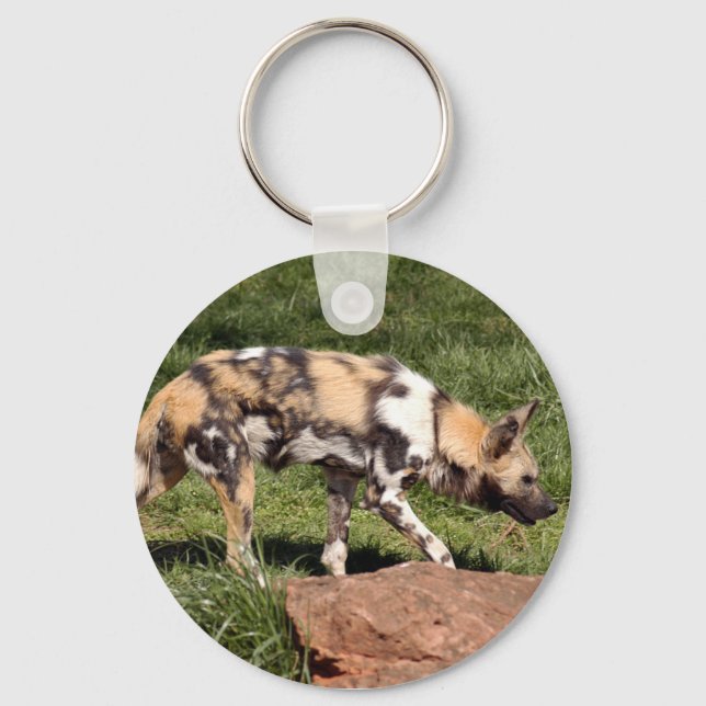 afrikan-vild-hund-010 nyckelring (Framsida)