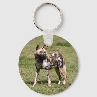 afrikan-vild-hund-015 nyckelring