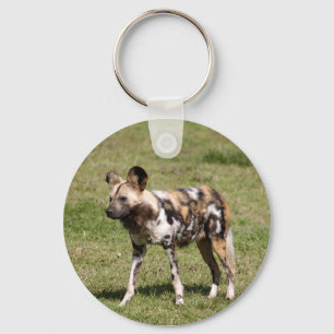 afrikan-vild-hund-016 nyckelring