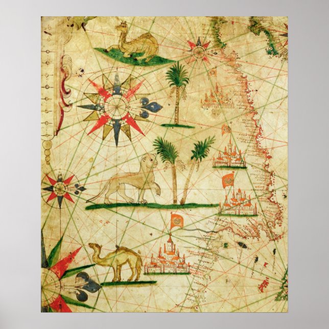 Afrikans norra Kusten Poster (Framsidan)