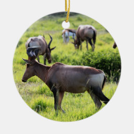 Afrikansk antilop på Safari i Sydafrika Julgransprydnad Keramik