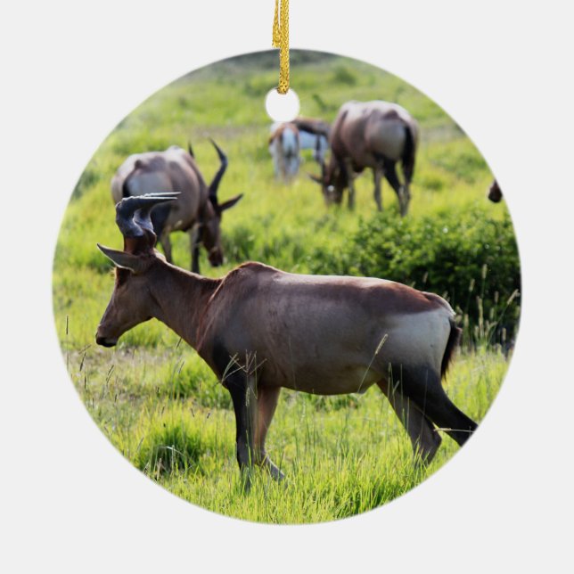 Afrikansk antilop på Safari i Sydafrika Julgransprydnad Keramik (Baksidan)