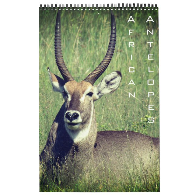afrikansk antilop safari 2027 kalender (Omslag)