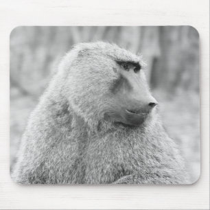 Afrikansk baboon musmatta