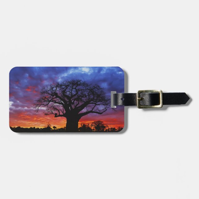 Afrikansk baobabträd, Adansonia digitata, 2 Bagagebricka (Horisontell Framsida)