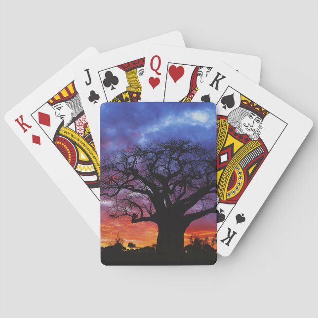 Afrikansk baobabträd, Adansonia digitata, 2 Spel Kort (Baksidan)