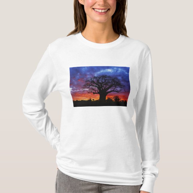 Afrikansk baobabträd, Adansonia digitata, 2 T-shirt (Framsida)