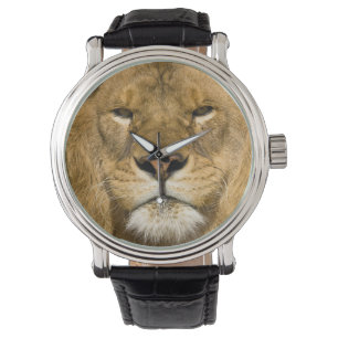 Afrikansk Barbary Lejon, Panthera leo leo, en av Armbandsur