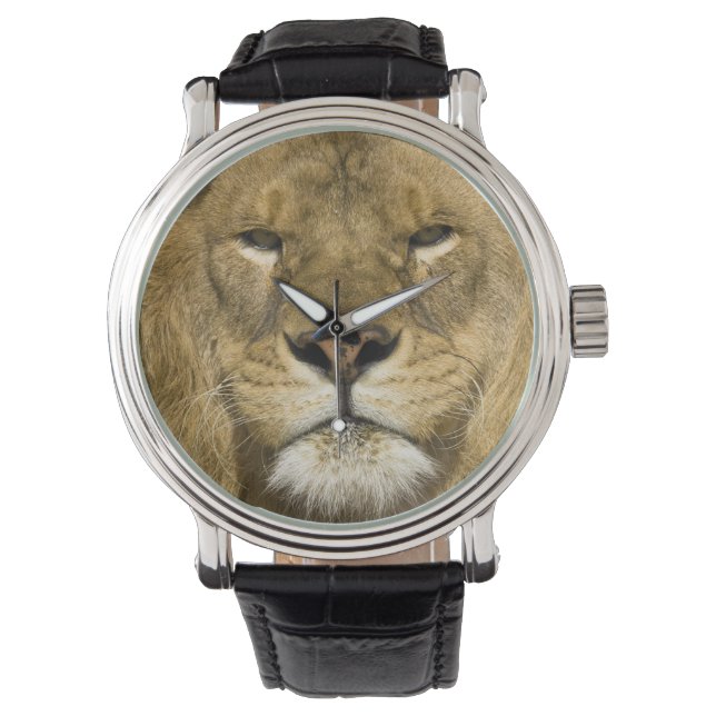 Afrikansk Barbary Lejon, Panthera leo leo, en av Armbandsur (Framsida)