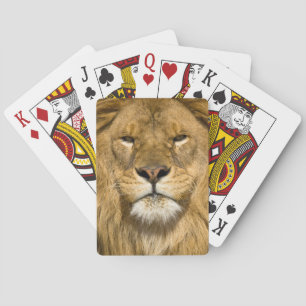 Afrikansk Barbary Lion, Panthera leo leo, en av Spelkort