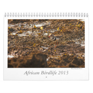 Afrikansk Birdlife Calendar Kalender