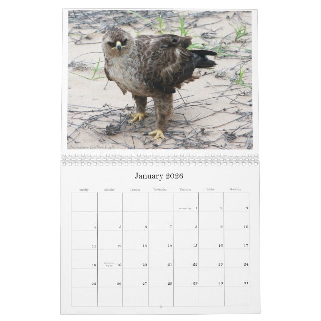 Afrikansk Birdlife Calendar Kalender (Jan 2026)