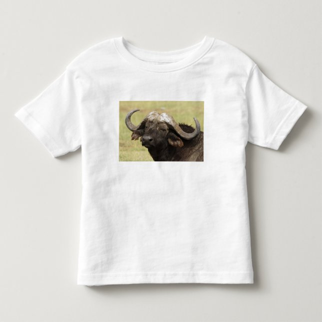 Afrikansk buffel, Syncerus caffer Tee Shirt (Framsida)