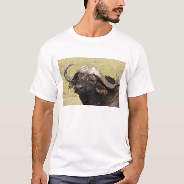Afrikansk buffel, Syncerus caffer Tee Shirt (Framsida)