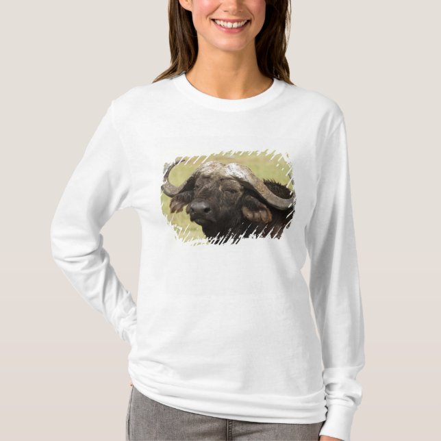 Afrikansk buffel, Syncerus caffer Tee Shirt (Framsida)
