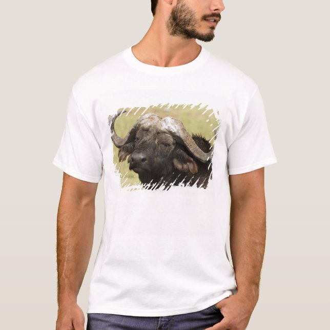 Afrikansk buffel, Syncerus caffer Tee Shirt (Framsida)