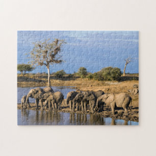 Afrikansk buskelefant (Loxodonta Africana) flock Pussel