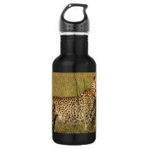 Afrikansk Cheetah för vild i Savannahgräs