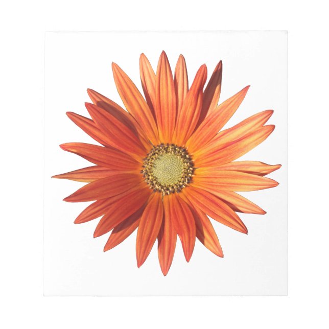 Afrikansk Daisy Anteckningsblock (Framsida)