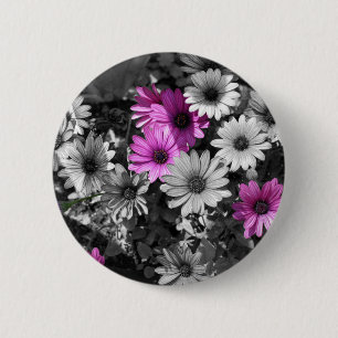 Afrikansk Daisy BW-Blommigt, knapp