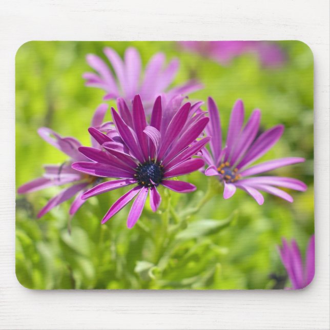 Afrikansk Daisy Flower Mousepad Musmatta (Framsidan)